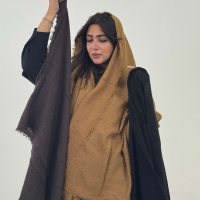 شال بافت بیسکوییتی